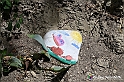VBS_3047 - Mango (Cuneo) - Gnomovia
